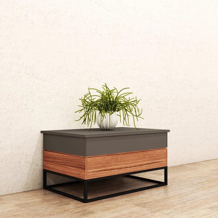 Rubén lifting table