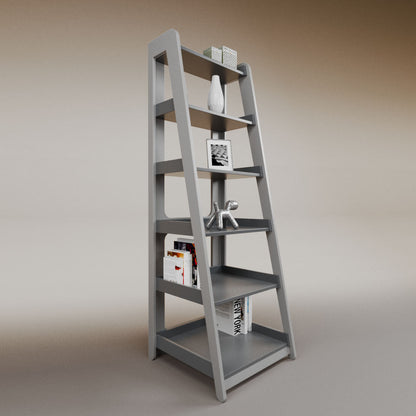 Aura ladder bookcase