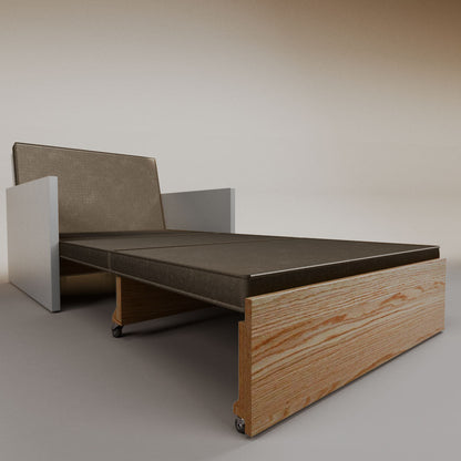 Esteban Single Sofa Bed