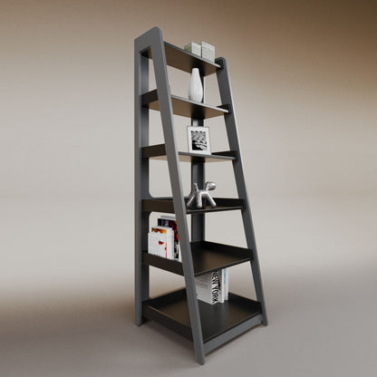 Aura ladder bookcase
