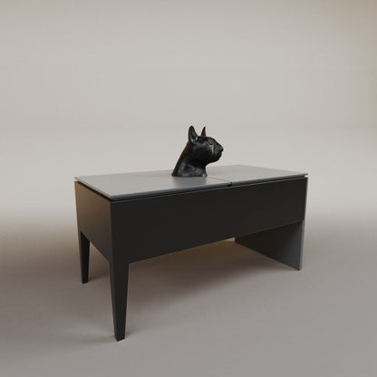 Imanol lifting table