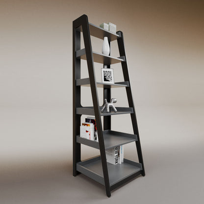 Aura ladder bookcase