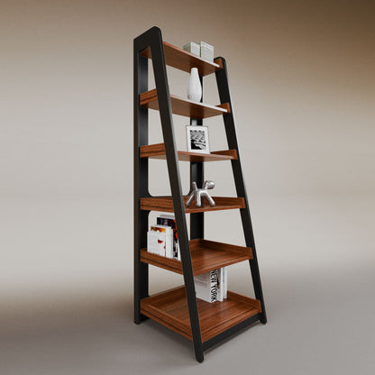Aura ladder bookcase