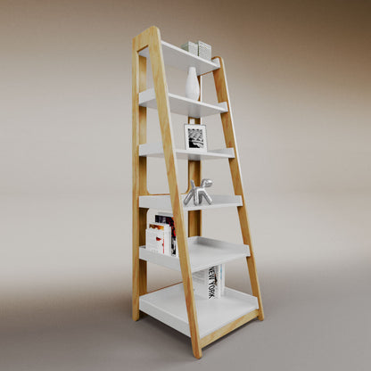 Aura ladder bookcase
