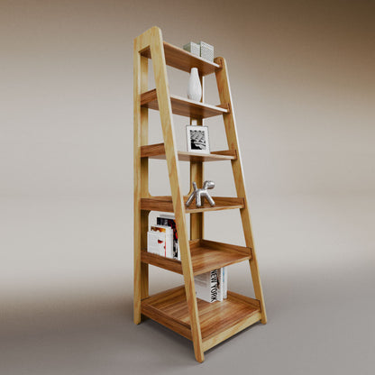 Aura ladder bookcase