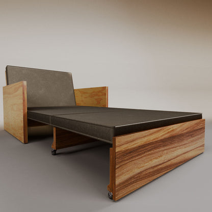 Esteban Single Sofa Bed