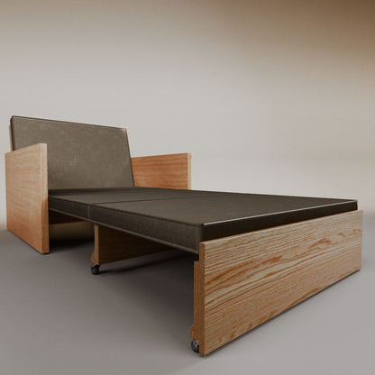 Esteban Single Sofa Bed