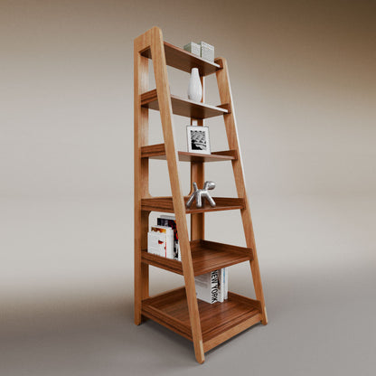 Aura ladder bookcase