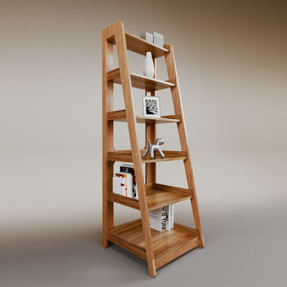 Aura ladder bookcase