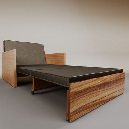 Esteban Single Sofa Bed