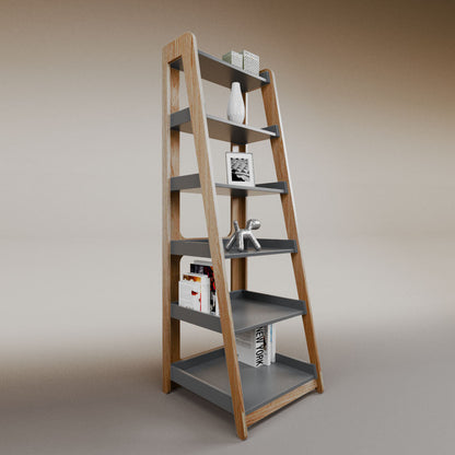 Aura ladder bookcase