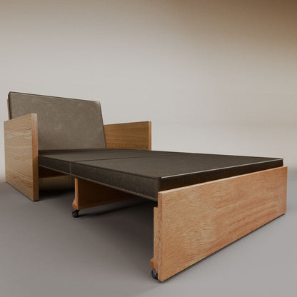 Esteban Single Sofa Bed