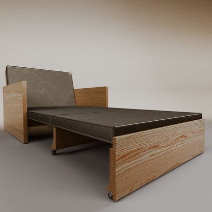 Esteban Single Sofa Bed