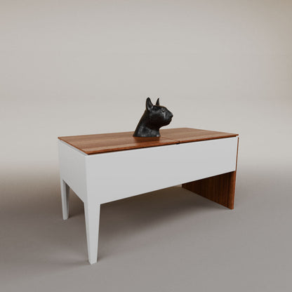 Imanol lifting table