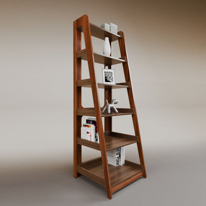 Aura ladder bookcase