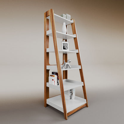 Aura ladder bookcase