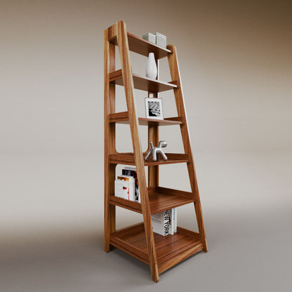 Aura ladder bookcase