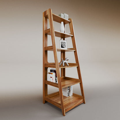 Aura ladder bookcase