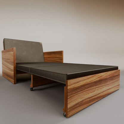 Esteban Single Sofa Bed