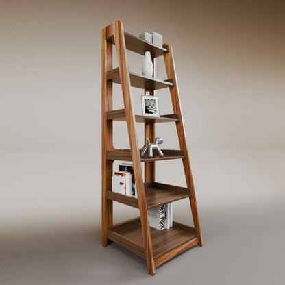 Aura ladder bookcase