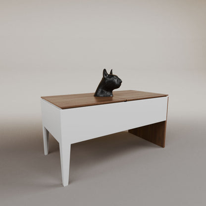 Imanol lifting table