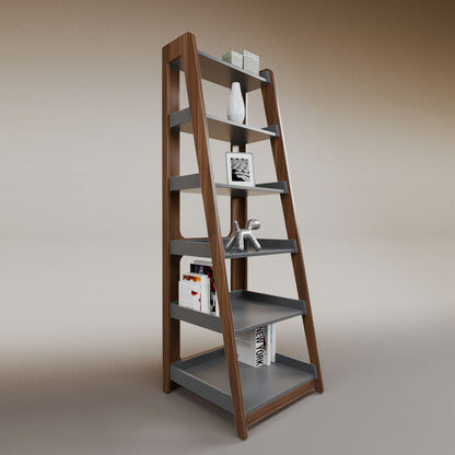Aura ladder bookcase