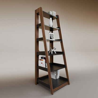 Aura ladder bookcase