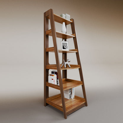 Aura ladder bookcase